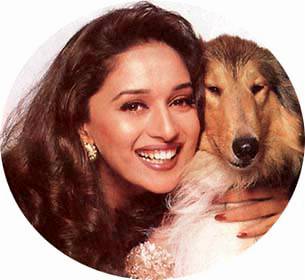 Madhuri and her dog